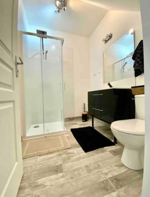 Appartement Centre Ville Saint-Amand-Mont-Rond Bagian luar foto